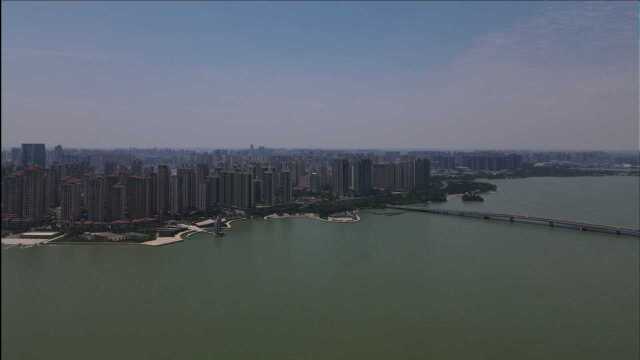 2分35秒,带你领略夏日里龙子湖东岸湿地公园的美