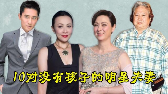 10对没有孩子的明星夫妻,舒淇对婚姻灰心,发哥痛失爱女成遗憾