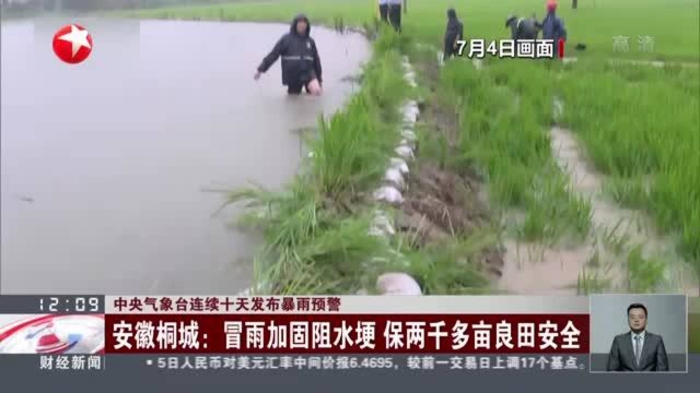 中央气象台连续十天发布暴雨预警:安徽桐城——冒雨加固阻水埂 保两千多亩良田安全