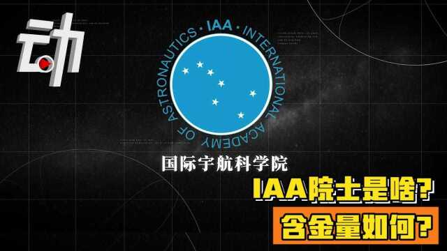 航天投资董事长酒后打伤IAA两院士被刑拘:IAA院士是啥?含金量如何?