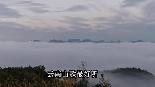 云南山歌《云南山歌最好听》经典山歌对唱,民间小调