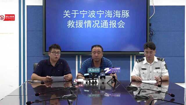 关于宁波宁海海豚救援情况通报会