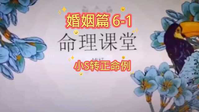 情感婚姻61