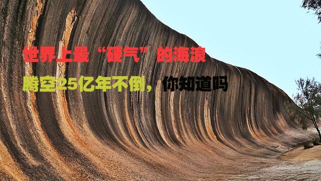 世界上最“硬气”的海浪,腾空25亿年不倒 #“知识抢先知”征稿大赛#