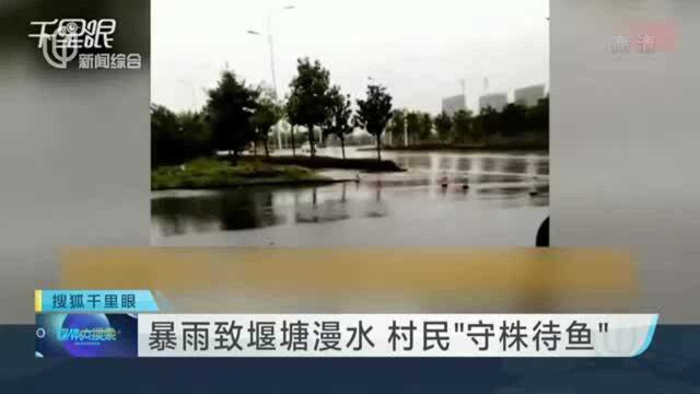 暴雨致堰塘漫水 村民“守株待鱼”