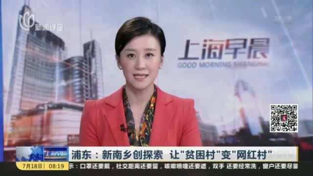 浦东:新南乡创探索 让“贫困村”变“网红村”