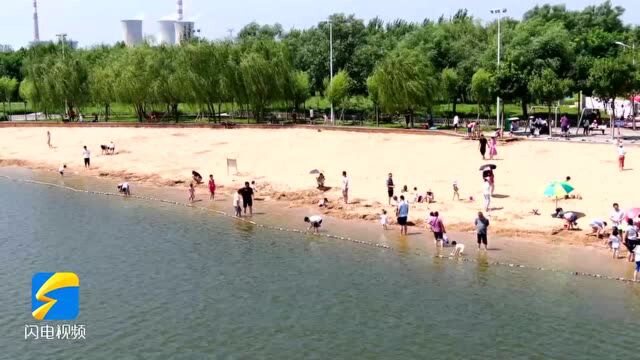 东营森林乐园:沐浴夏日 享受美好时光