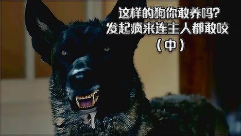 你知道狂犬病发作的狗是什么样子吗？电影《夺魂索》为你揭晓 #电影HOT短视频大赛 第二阶段#