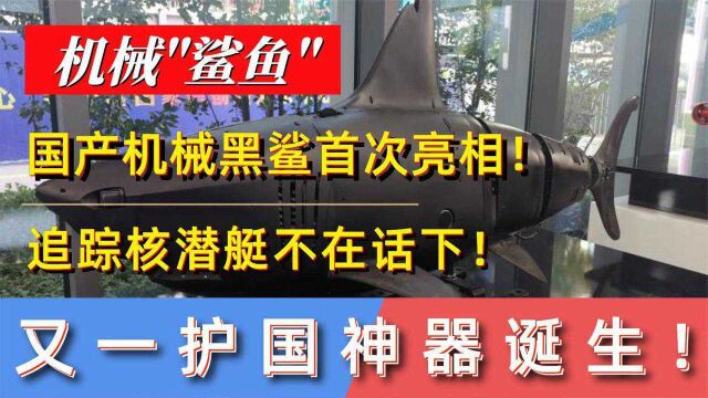 国产机械黑鲨,首次亮相!新型潜航器为何能够大放异彩?