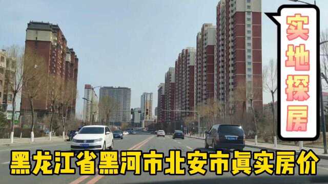 黑龙江省黑河市北安市真实房价,以买房者身份打电话谈价