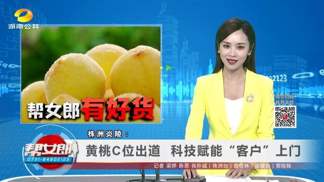 株洲炎陵:黄桃C位出道 科技赋能“客户”上门