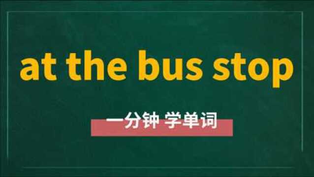 一分钟一词汇,短语at the bus stop你知道它是什么意思吗