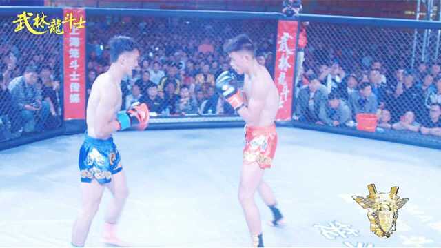 演员王涛功夫主持人90最近武林龙斗士节目