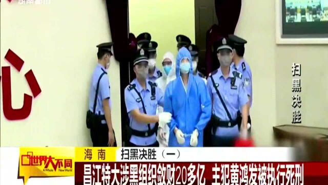 都市:海南昌江特大涉黑组织敛财20多亿,主犯直接被执行死刑