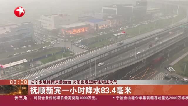 辽宁多地降雨来势汹汹 沈阳出现短时强对流天气