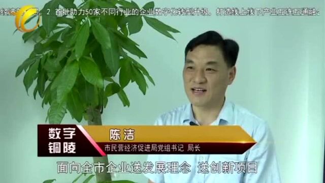 市民营经济促进局党组书记、局长陈洁栏目讲话 《数字铜陵》每周一期,每周五晚20:05在铜陵台新闻综合频道首播,公共频道、科教频道、网络台、豚云手...