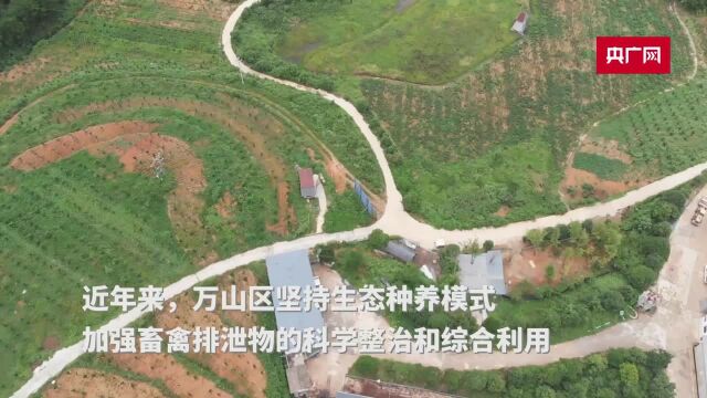 贵州万山:种养结合防污染,发展增收路更宽