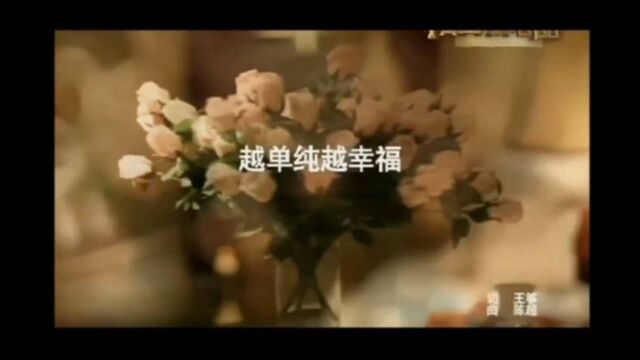 【杜拉拉升职记】主题曲《越单纯越幸福》没有人比我更爱你