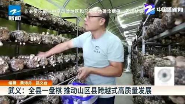 武义:全县一盘棋 推动山区县跨越式高质量发展