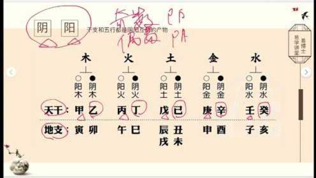 八字基础,阴阳五行相生相克的原理和形态第三课 易楠天