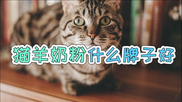 猫羊奶粉什么牌子好