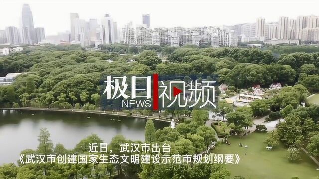 武汉启动创建国家生态文明建设示范市,中心城区全面建成40个湖泊公园