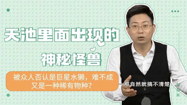 天池里面出现的神秘怪兽,被众人否认是巨星水獭,难不成又是一种稀有物种?