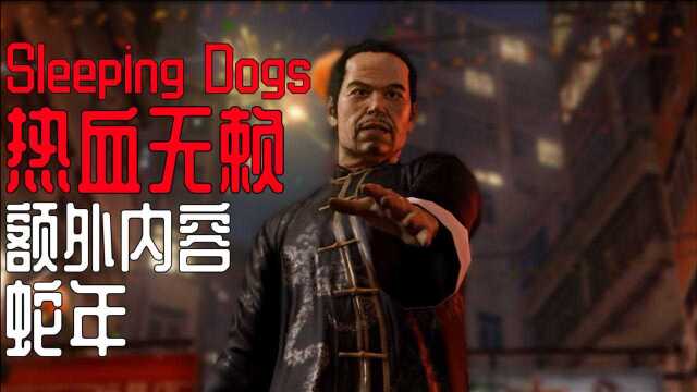 娱乐游戏实况解说《热血无赖丨Sleeping Dogs》DLC 蛇年