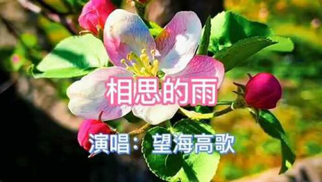 望海高歌演唱的情歌《相思的雨》,深情伤感,催人泪下.