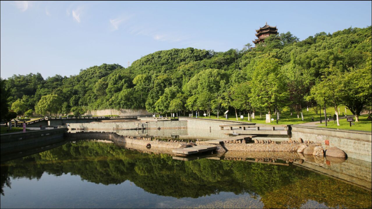 实拍浙江诸暨城市广场:树高林密,市民健身乐园