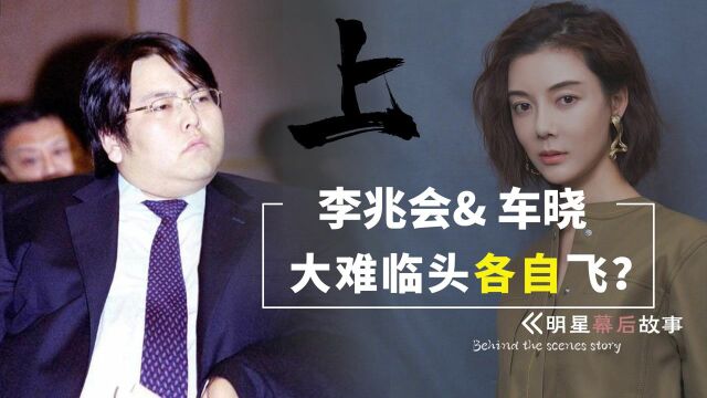 败光百亿的李兆会跑路了!被法院悬赏2100万,前妻车晓再被牵连