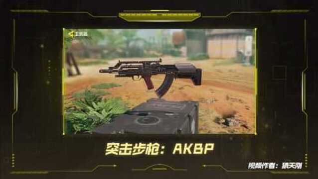 《使命召唤手游》武器攻略 突击步枪:AKBP