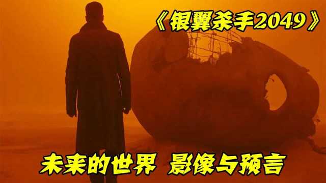 《银翼杀手2049》男子是顶级杀手,却因为一具骸骨,走上了不归之路#电影HOT短视频大赛 第二阶段#