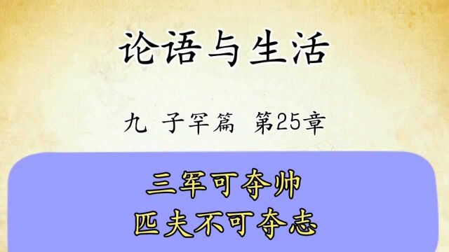 论语解读与生活运用九:子罕篇第25章原文讲解三军可夺帅也匹夫不可夺志国学经典传统文化