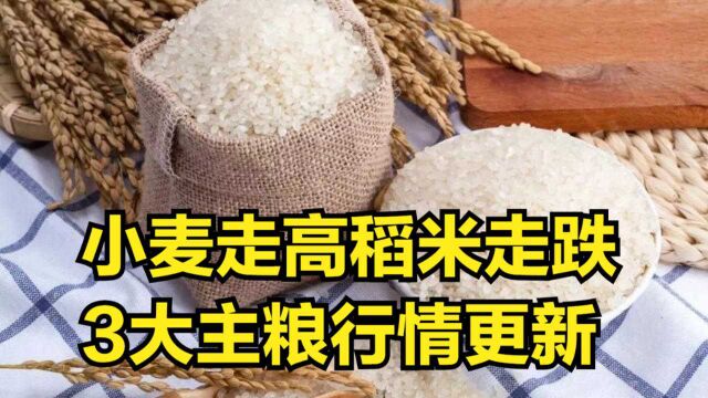 小麦走高,稻米走跌,10月5日3大主粮行情已更新