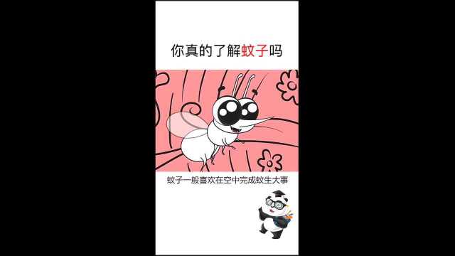 科普知识:关于蚊子,你真的了解吗