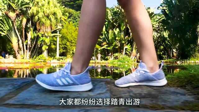 什么是隐翅虫,为何拍不得?