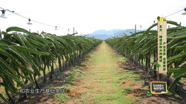 东方:推进农田水利建设 产业丰实 花香两岸