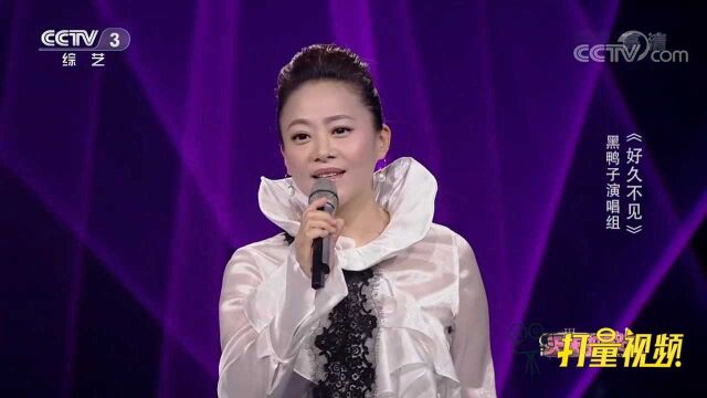 黑鸭子演唱组一首《好久不见》,声音太动听了