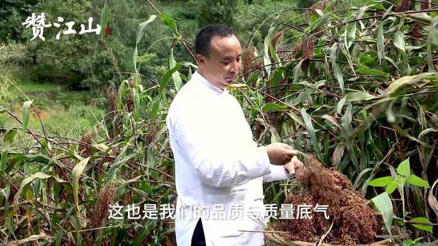 赞江山酱香型白酒,秉承传统酿制工艺