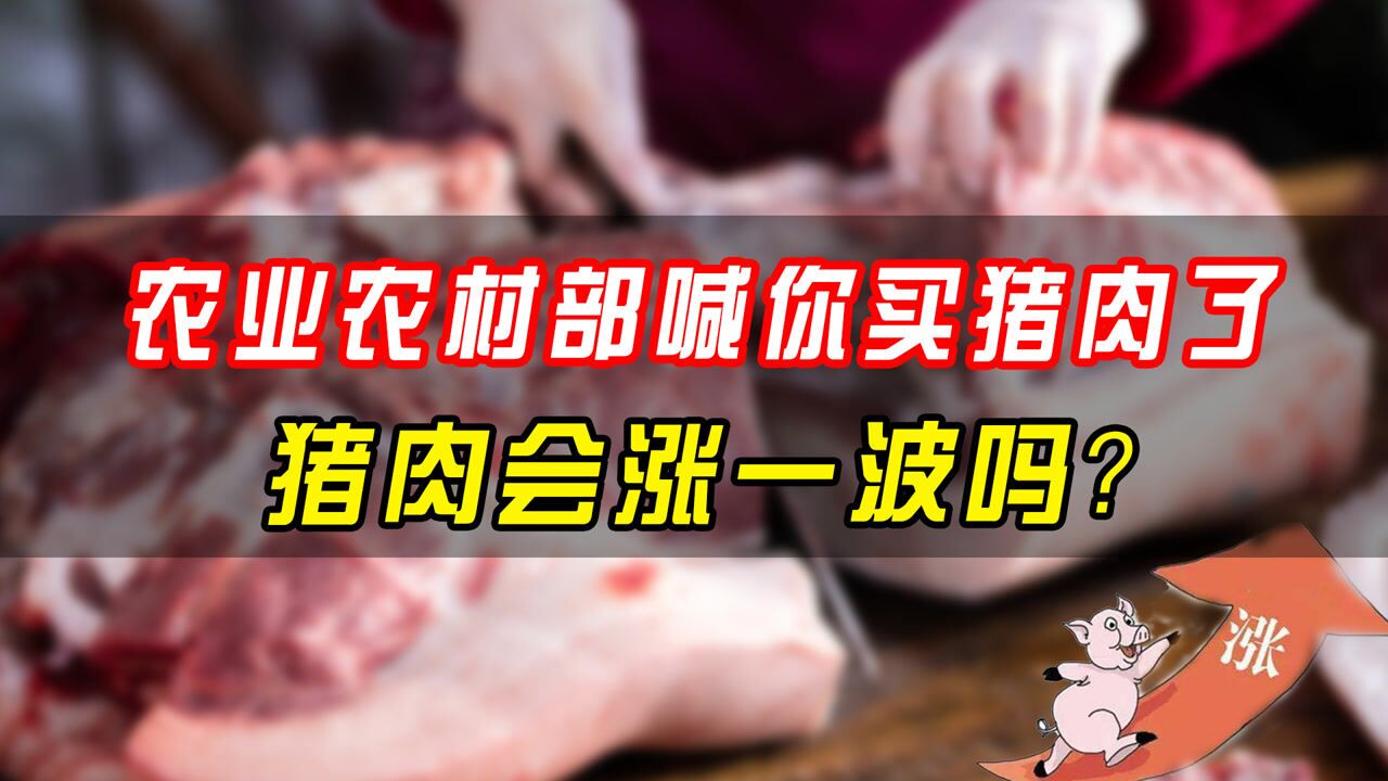 农业农村部喊你买猪肉了,猪肉会涨一波吗?