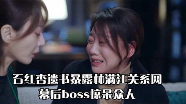 突围:石红杏遗书暴露林满江关系网,幕后Boss惊呆众人,老牛哭了