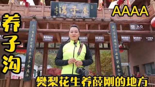 养子沟风景区AAAA,巾帼女英雄樊梨花生子养子教子的地方,风景优美,适合全天游玩的地方!