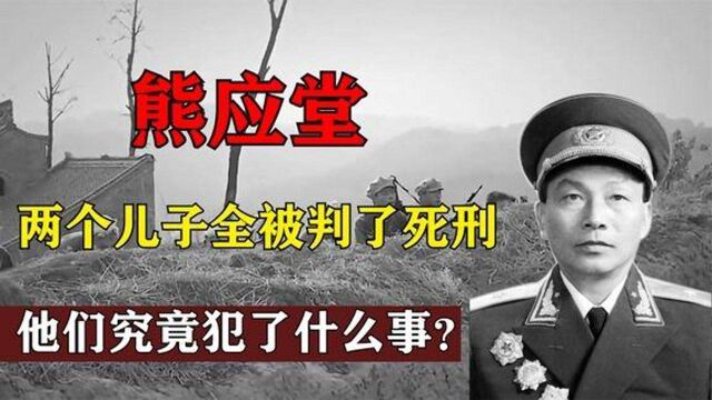 1979年开国少将熊应堂的两个儿子全被判了死刑,他们犯了什么事