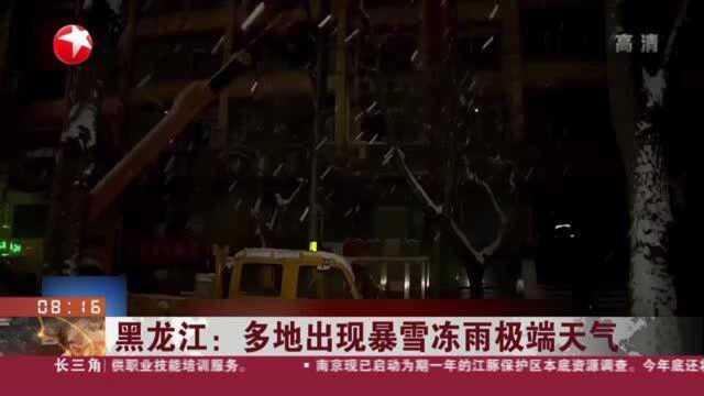 黑龙江:多地出现暴雪冻雨极端天气 哈尔滨:冻雨导致供电故障 全力抢修