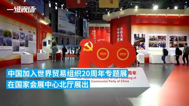 在主题展重温中国入世20年