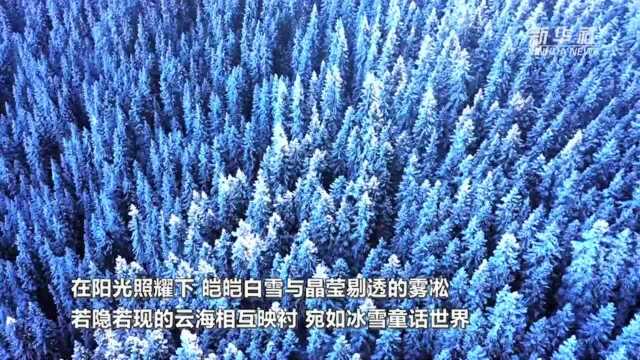 雪后天山 美景如画