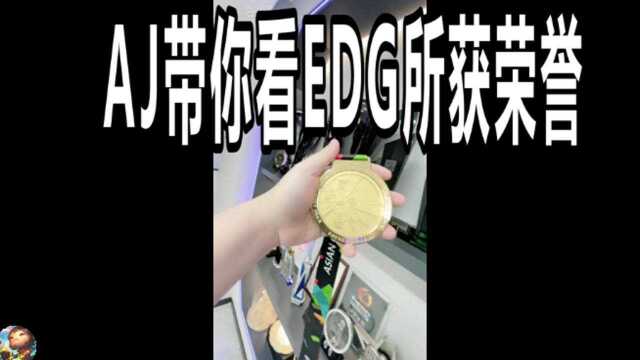 AJ带你看EDG所获荣誉:奖牌,奖杯等!