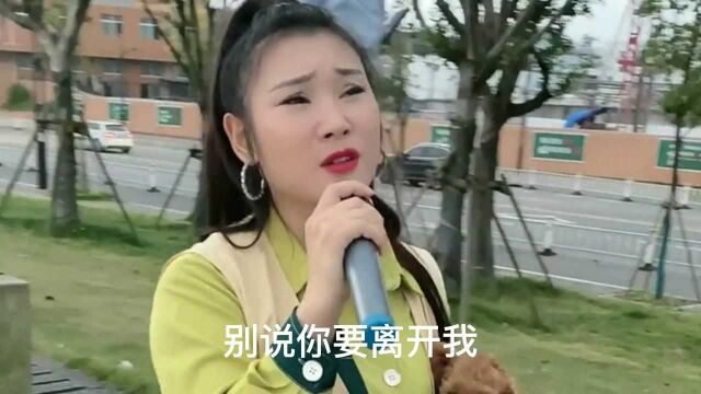 一首经典老歌《花开花落》,歌声凄美动听,听哭了多少人