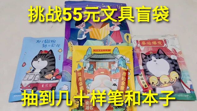 55元祈福文具盲袋,4包开出几十样笔和本子,够用一年了